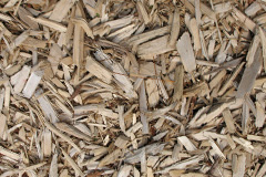 biomass boilers Alderton